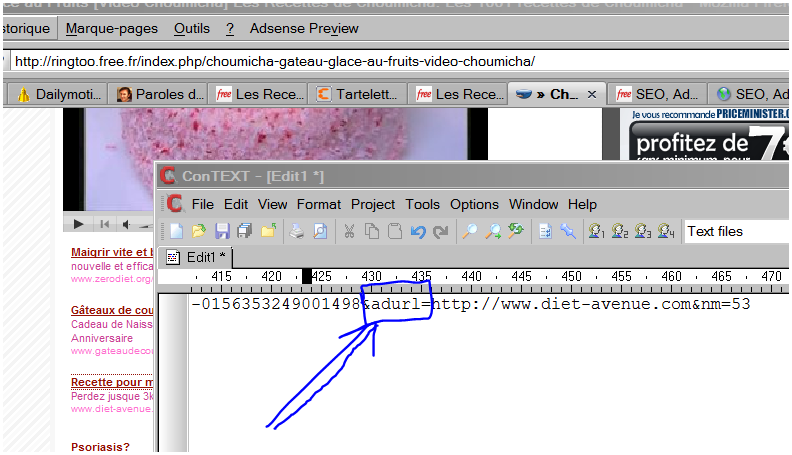 adsense-filtrer